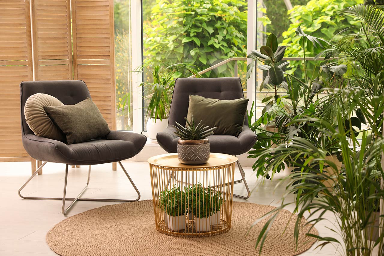Lounge area interior with comfortable armchairs and houseplants
